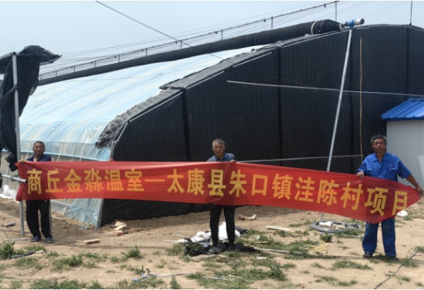 河南周口太康县朱口镇洼陈村项目完美竣工